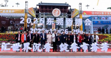 第十五届东莞沉香文化产业博览会暨寮步香市非遗活动启幕