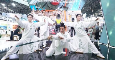 武当功夫武动“2025中国国际旅游交易会”现场